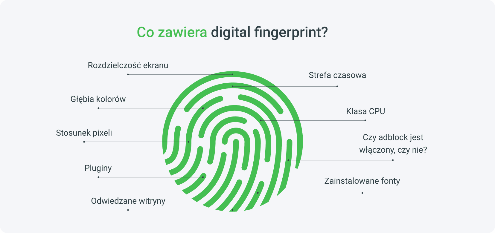 Każdy Twój ruch w internecie pozostawia jakiś ślad | Anonimowość w sieci