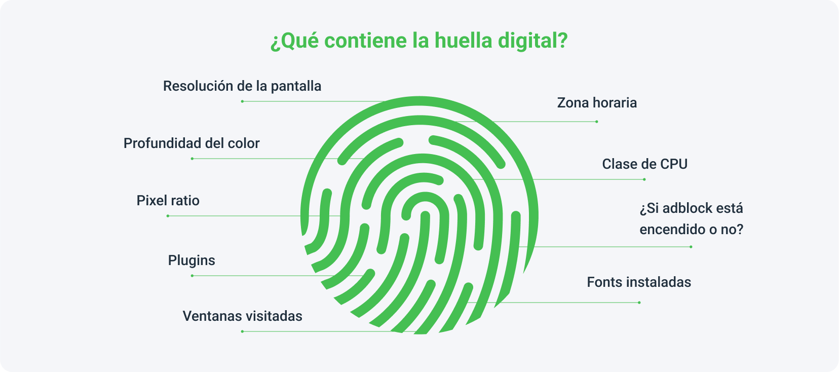 ¿Qué contiene la huella digital?