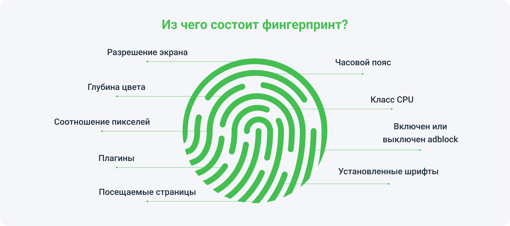 Из каких сведений состоит фингерпринт?