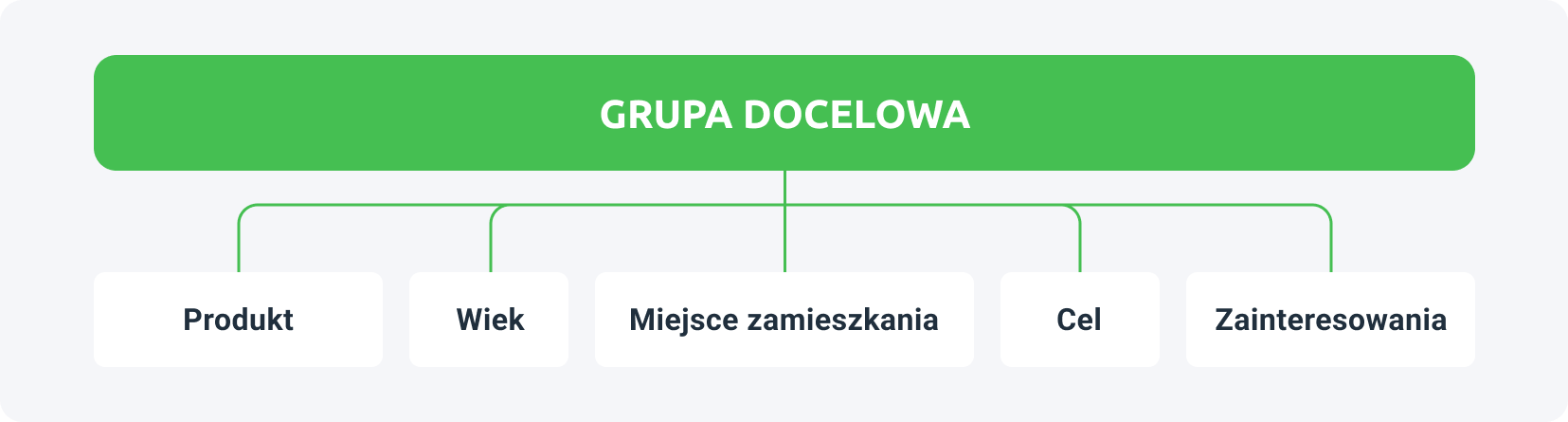 grupa docelowa