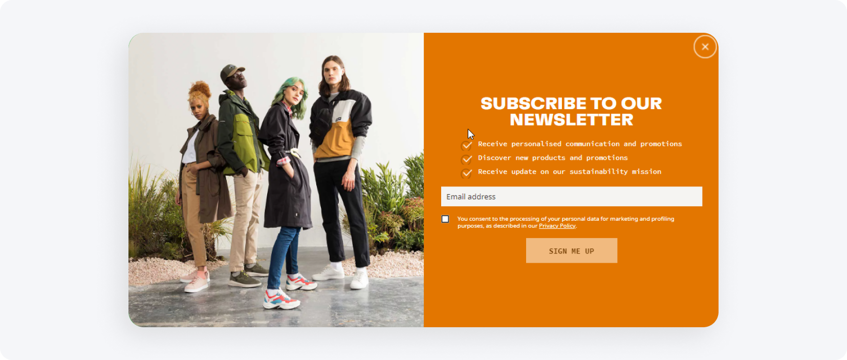 An example of a pop-up window with an offer to send an email newsletter