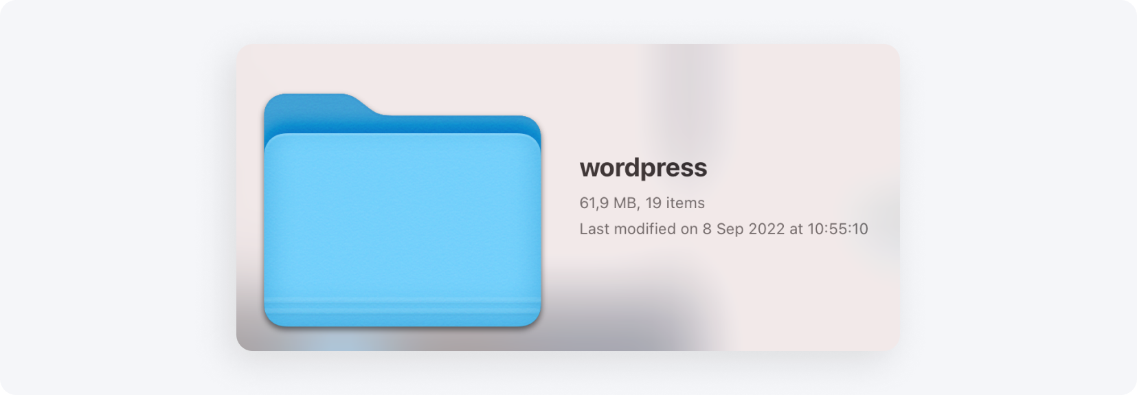 Папка “wordpress”