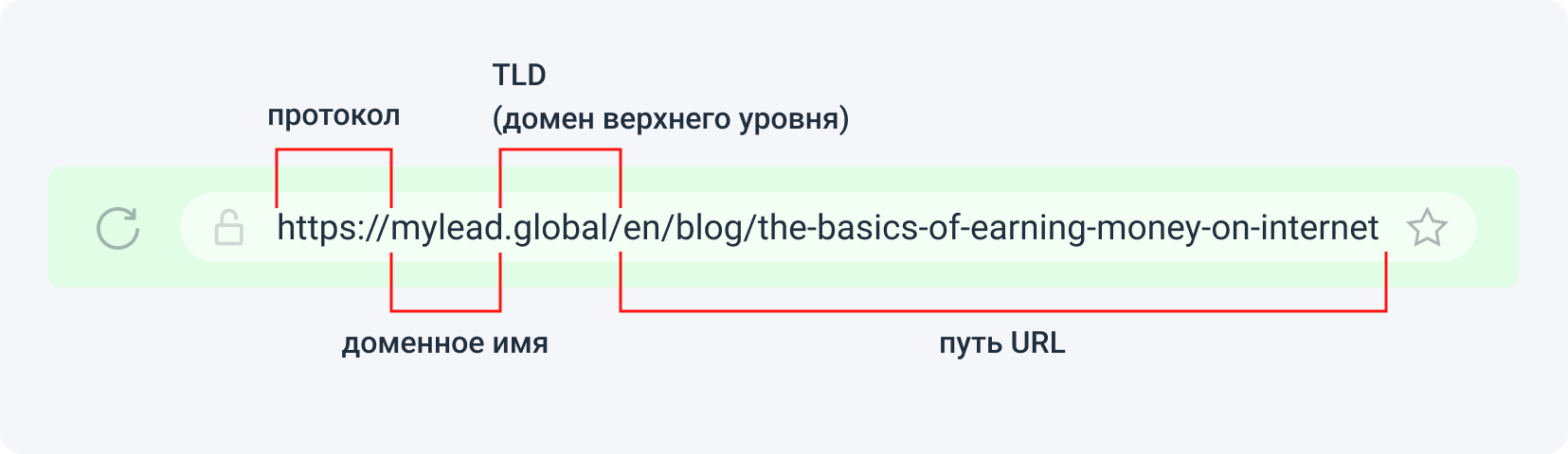 На фото мы видим соответственно: протокол, доменное имя, TLD (домен верхнего уровня) и путь URL