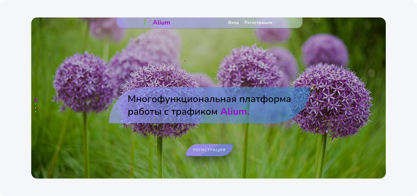 reklamna-merezha-alium