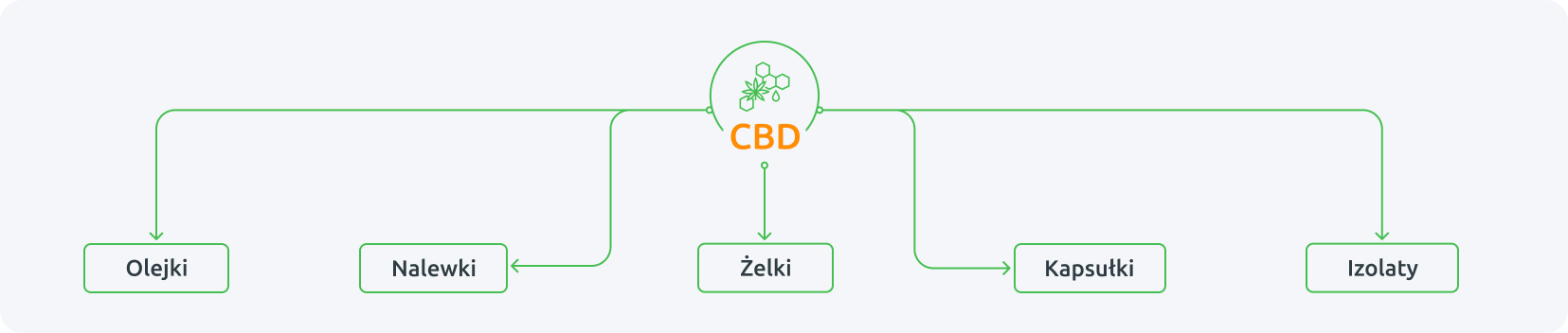 CBD -Olejki, Nalewki, Żelki, Kapsułki, Izolaty