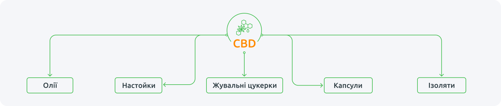 CBD — олії, настойки, жувальні цукерки, капсули, ізоляти