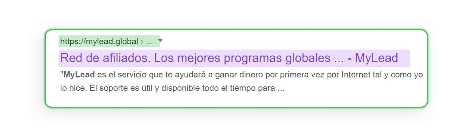 La dirección del sitio web está resaltado en verde y el nombre en morado