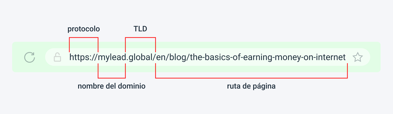 En la imagen el orden: protocolo, nombre del dominio, TLD y ruta de página 