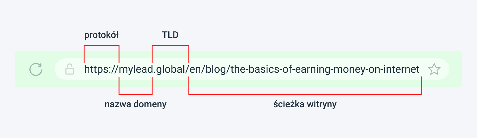 Na zdjęciu widzimy kolejno: protokół, nazwę domeny, TLD i ścieżkę witryny